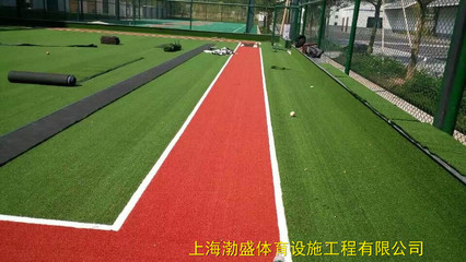 人造草 籃球場 足球場 幼兒園彩色地面 足球場草