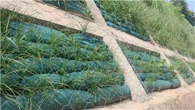 00元/千克南昌荒山植草復綠植生袋綠化護坡施工廈門三水園林綠化工程