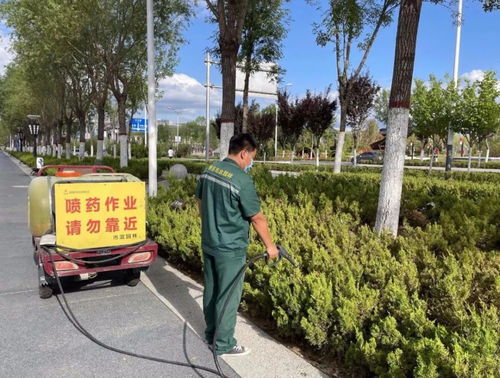 持續(xù)發(fā)力 筑牢園林綠化施工作業(yè)安全屏障