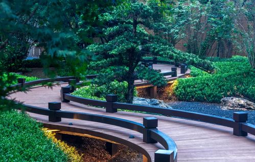 喜訊 國貿.前海灣榮獲 省園林綠化優質工程