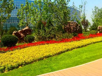 假山_達州綠化工程_宣漢綠化工程_萬源假山制作_四川洪勝園林景觀工程