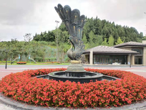 綠雕仿真造型設(shè)計(jì)在體育場地設(shè)施工程中的應(yīng)用